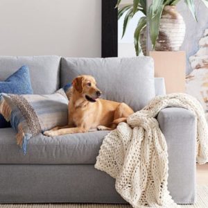 The 12 Best Sofa Brands With Quality Reviews Right Now Home Of Cozy