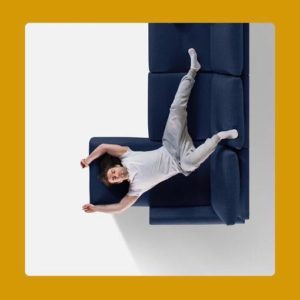 The 4 Best Couch Materials For Your Dogs | Home of Cozy