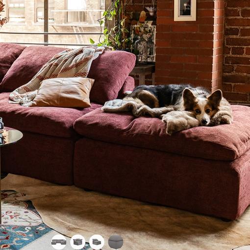 5 Best Couches for People with Cats 2024 Home of Cozy