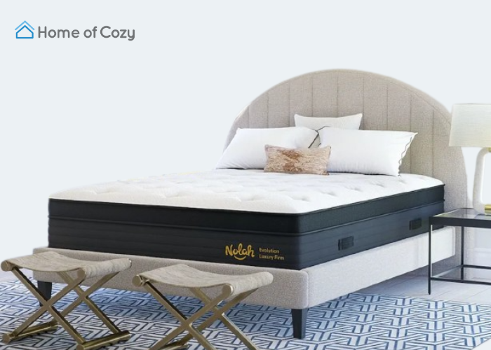 Nolah Evolution Comfort+ Review - HD Mattress for Plus-Sized